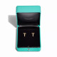Серьги Tiffany & Co. 73586100 73915643 Tiffany T