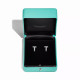Серьги Tiffany & Co. 73586143 73915678 Tiffany T
