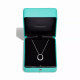 Колье Tiffany & Co. 74365809  74625460  74625479 Tiffany Lock