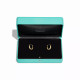 Серьги Tiffany & Co. 74365914 74625576 Tiffany Lock