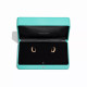 Серьги Tiffany & Co. 74366023 74625592 Tiffany Lock