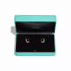 Серьги Tiffany & Co. 74366201 74625630 Tiffany Lock