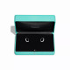 Серьги Tiffany & Co. 74366252 74625649 Tiffany Lock