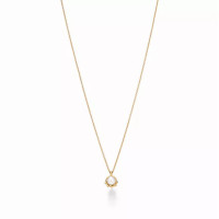 Колье Tiffany & Co. 74627250 Paloma Picasso®