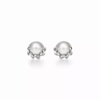 Серьги Tiffany & Co. 74627285 Paloma Picasso®
