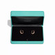 Серьги Tiffany & Co. 74949827 74952577 Tiffany Lock