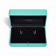 Серьги Tiffany & Co. 75364091 75131992 Tiffany Titan by Pharrell Williams