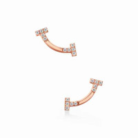 Серьги Tiffany & Co. 75533365 75570384 Tiffany T