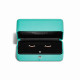 Серьги Tiffany & Co. 75533365 75570384 Tiffany T