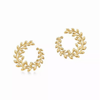 Серьги Tiffany & Co. 75643853 Paloma Picasso®
