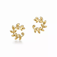 Серьги Tiffany & Co. 75643888 Paloma Picasso®