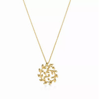 Колье Tiffany & Co. 75643918 Paloma Picasso®