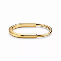 Браслет Tiffany & Co. 70185601 70306905 Tiffany Lock