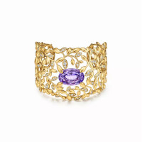 Браслет Tiffany & Co. 75760736 Paloma Picasso®