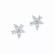 Серьги Tiffany & Co. 34939934 Tiffany Victoria®