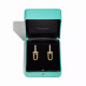 Серьги Tiffany & Co. 70353121 73122821 Tiffany HardWear