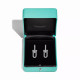 Серьги Tiffany & Co. 72303830 72585445 Tiffany HardWear