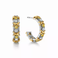 Серьги Tiffany & Co. 72609298 Sixteen Stone by Tiffany