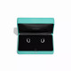 Серьги Tiffany & Co. 74365973 74625584 Tiffany Lock