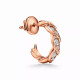 Серьги Tiffany & Co. 75451962 75366523 Bird on a Rock by Tiffany
