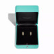Серьги Tiffany & Co. 76154082 76154058 Tiffany Rope