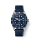 Tudor Black Bay Fifty-Eight  M79030B-0002