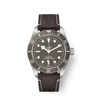 Tudor Black Bay Fifty-Eight M79010SG-0001