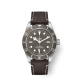 Tudor Black Bay Fifty-Eight M79010SG-0001
