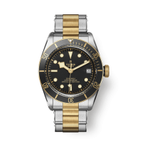 Tudor Black Bay M79733N-0008