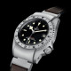 Tudor Black Bay P01 M70150-0001