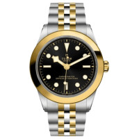 Tudor Black Bay S&G M79663-0001