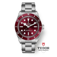 Tudor M7939A1A0RU-0002 Black Bay 