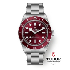 Tudor M7939A1A0RU-0002 Black Bay 