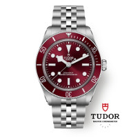 Tudor M7939a1a0ru-0001 Black Bay 