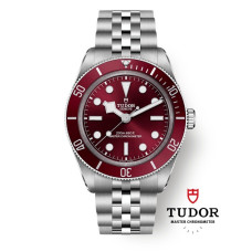 Tudor M7939a1a0ru-0001 Black Bay 