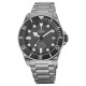 Tudor Pelagos 25600TN