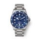 Tudor Pelagos M25600TB-0001