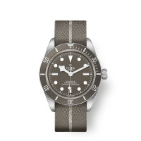 Tudor m79010sg-0002 Black Bay 58 925