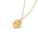 Колье Van Cleef & Arpels VCARP7SR00 Zodiaque medal Capricorni (Capricorn)
