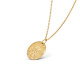 Колье Van Cleef & Arpels VCARP7SU00 Zodiaque medal Aquarii (Aquarius)