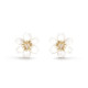 Серьги Van Cleef & Arpels VCARP7RV00 Rose de Noël